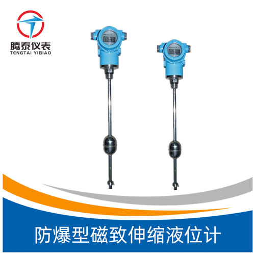 防爆型磁致伸縮液位計